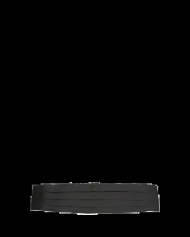 Brioni Men's Pleated Satin Cummerbund | Thumbnail 2
