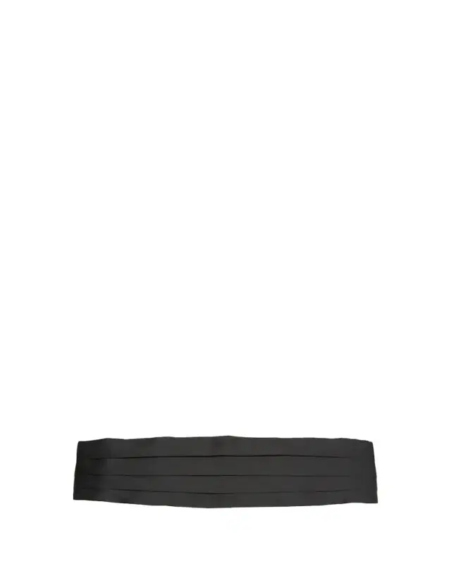 Men's Pleated Satin Cummerbund
