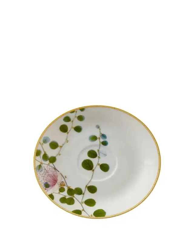 Bernardaud Jardin Indien Saucer