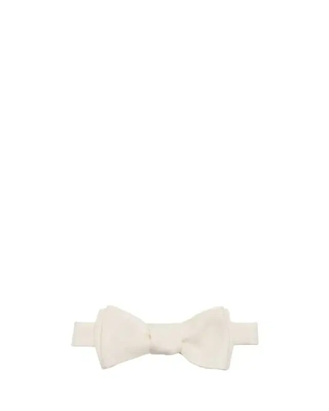 Men's Silk Bow Tie