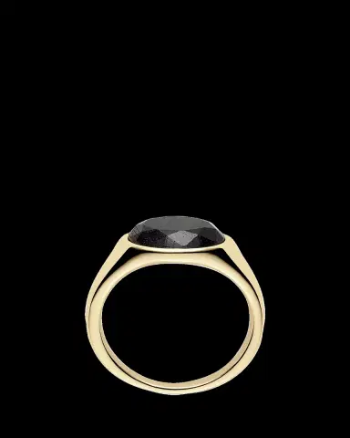Kinraden Men's Kindred 18K Gold Mpingo Blackwood Signet Ring | Thumbnail 2 Kinraden Men's Kindred 18K Gold Mpingo Blackwood Signet Ring | Thumbnail 2