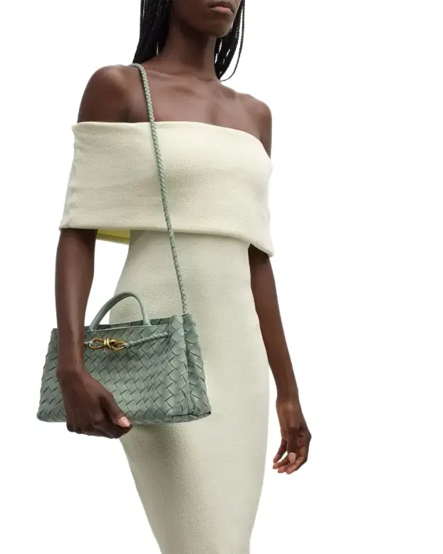 Bottega Veneta Small East-West Andiamo Bag