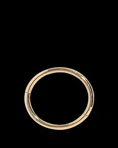 Pamela Love 12mm 14k Yellow Gold Plain Clicker Huggie Earring | Thumbnail 2