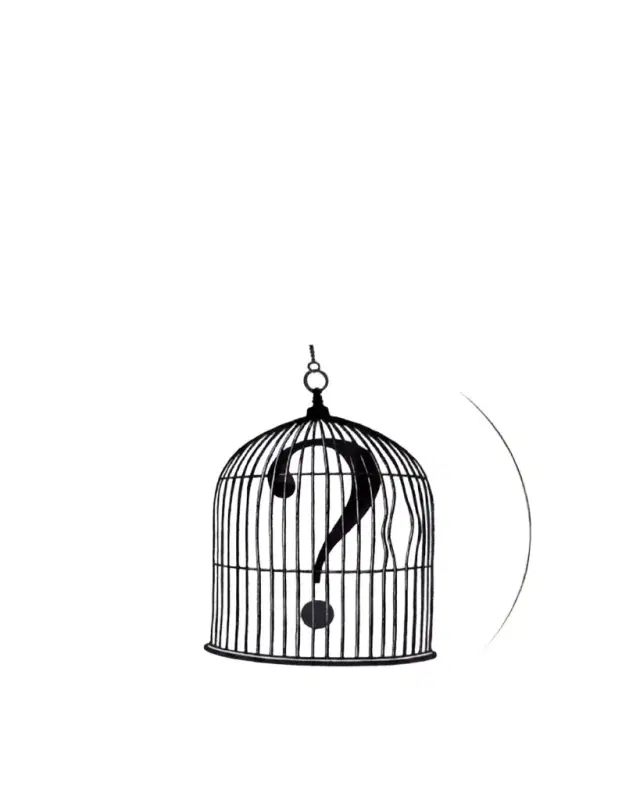 Rory Dobner Question Mark Birdcage Salad/Dessert Plate