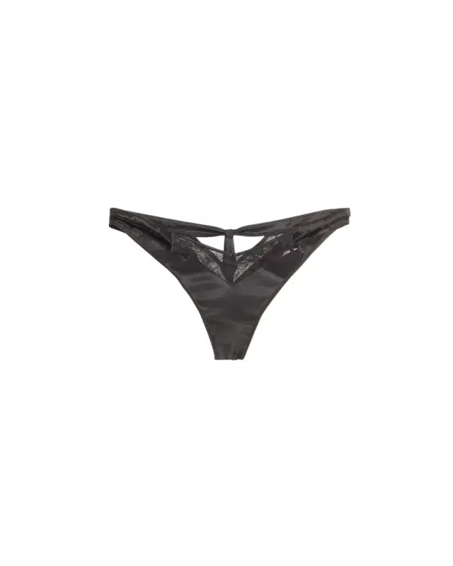 Livy Grenelle Cutout Lace & Satin Tanga