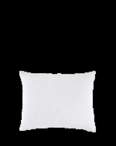 John Robshaw Woven White King Euro With Insert | Thumbnail 2 John Robshaw Woven White King Euro With Insert | Thumbnail 2