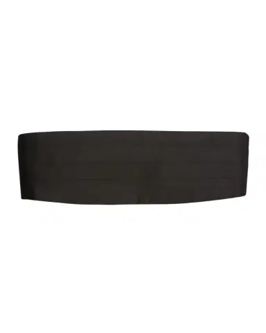 Zegna Men's Pleated Silk Cummerbund | Thumbnail 1 Zegna Men's Pleated Silk Cummerbund | Thumbnail 1
