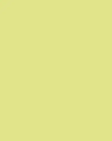 EAUSO VERT Eauso Vert Boozy Patchouli Eau de Parfum, 1.7 oz | Thumbnail 2