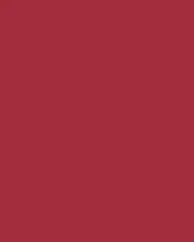 Le Specs AIRY CANARY II Red Acetate Cat-Eye Sunglasses | Thumbnail 3