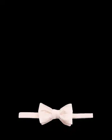 TOM FORD Men's Silk-Cotton Pre-Tied Bow Tie | Thumbnail 2