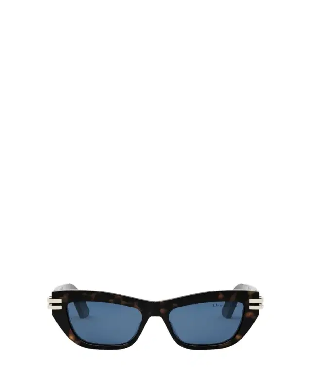 Dior C B2U Sunglasses