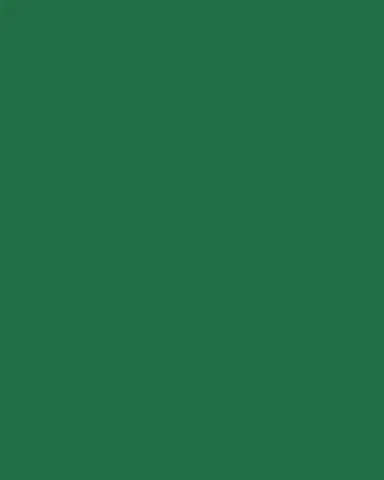 Tracee Nichols 14K Gold Mini Lion Green Enamel Token Necklace | Thumbnail 3