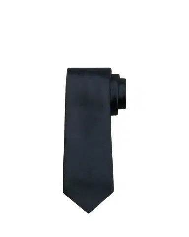 Ferragamo Men's Solid Silk Tie | Thumbnail 1