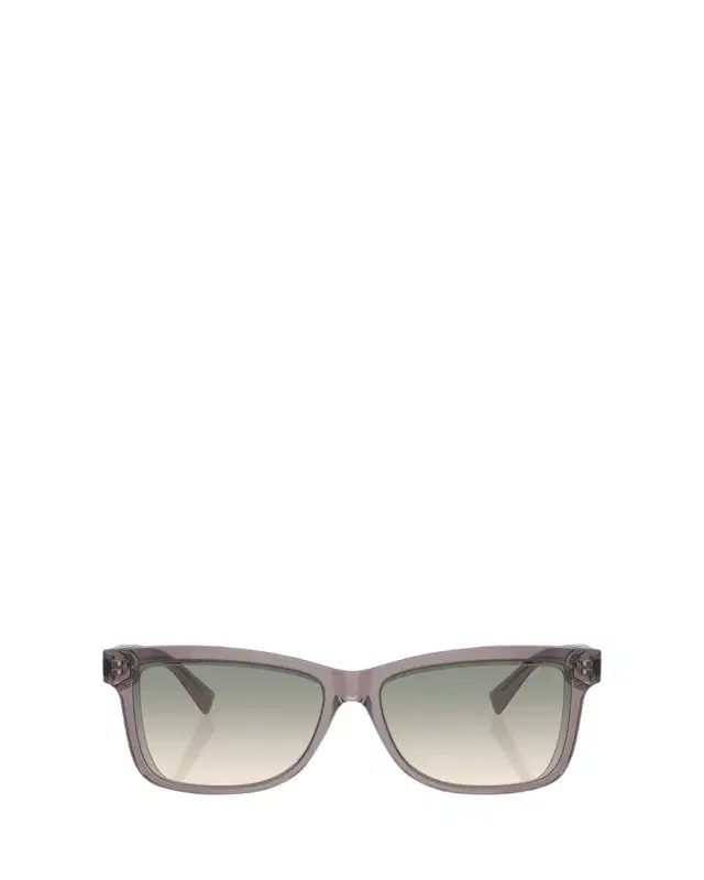 Brunello Cucinelli Logo Acetate Butterfly Sunglasses