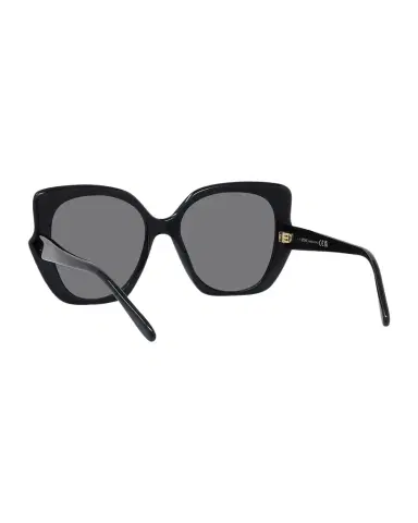 Loewe Logo Acetate Butterfly Sunglasses | Thumbnail 1