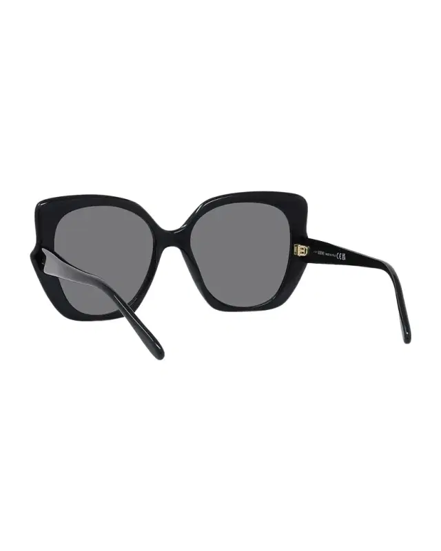 Loewe Logo Acetate Butterfly Sunglasses
