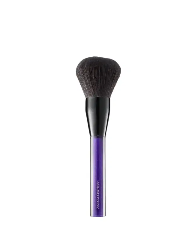 Large Face and Body Brush