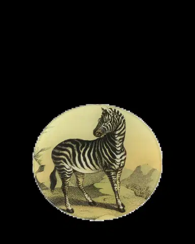 John Derian Zebra 118 Decorative Plate | Thumbnail 2