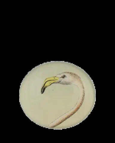 John Derian Flamingo Dome Paperweight | Thumbnail 2