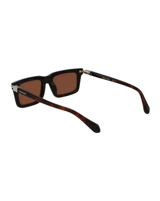 Ferragamo Men's Prisma Modified Acetate Rectangle Sunglasses, 53mm