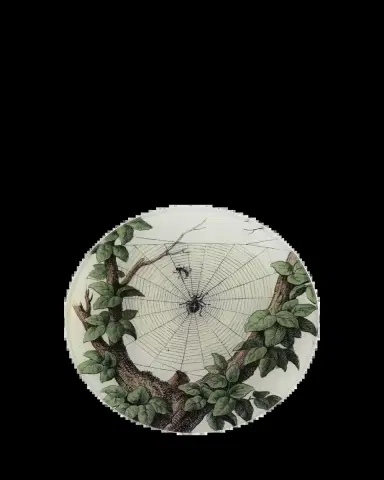 John Derian Leafy Web Decorative Plate | Thumbnail 2