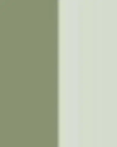 John Derian Leafy Web Decorative Plate | Thumbnail 3