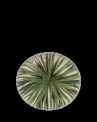 John Derian Palm Detail Dome Paperweight | Thumbnail 2