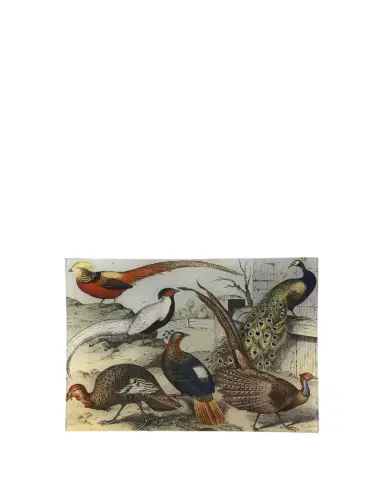 John Derian Birds XXIII Rectangular Tray | Thumbnail 1