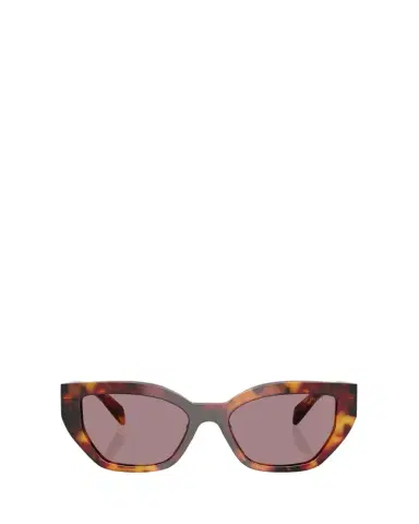 Prada Logo Acetate Butterfly Sunglasses | Thumbnail 1 Prada Logo Acetate Butterfly Sunglasses | Thumbnail 1