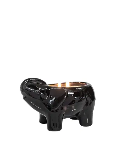 Thompson Ferrier 28 oz Elephant Scented Candle | Thumbnail 1
