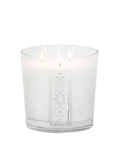 Thompson Ferrier 50 oz Involutus Glass Scented Candle | Thumbnail 1