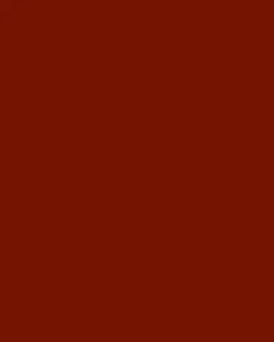 Tom Ford Icon Collection Sunglasses | Thumbnail 3 Tom Ford Icon Collection Sunglasses | Thumbnail 3