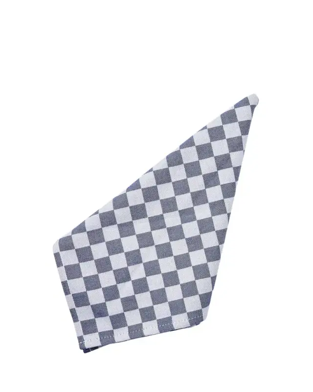 Navy Check Napkins, Set of 4