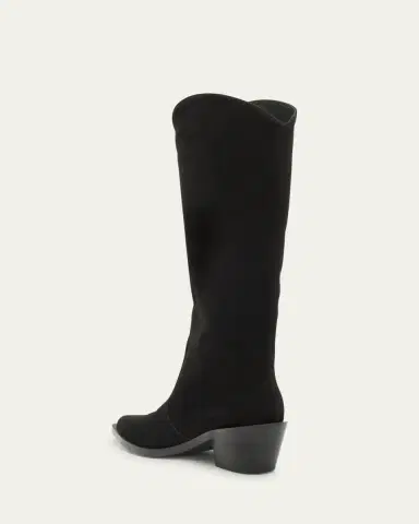 Gianvito Rossi Suede Tall Western Boots | Thumbnail 6