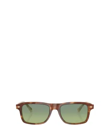 Brunello Cucinelli 0BC4014S Square Acetate Sunglasses | Thumbnail 1 Brunello Cucinelli 0BC4014S Square Acetate Sunglasses | Thumbnail 1