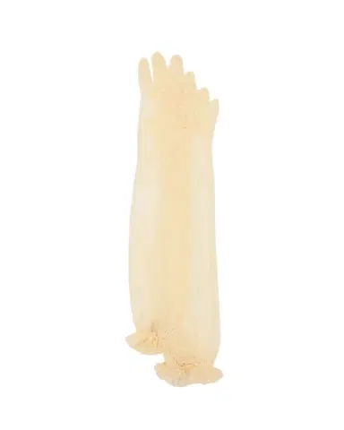 Valentino Garavani V-Logo Long Lace Gloves | Thumbnail 1