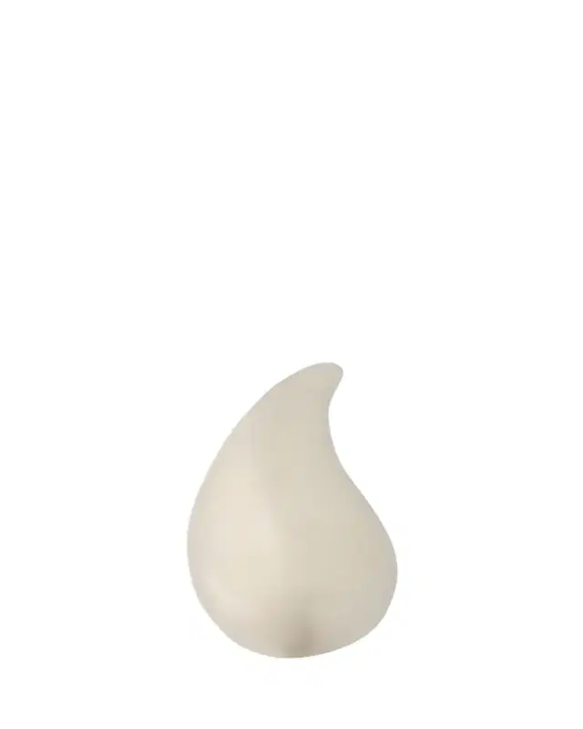 Bottega Veneta Large Drop Brooch