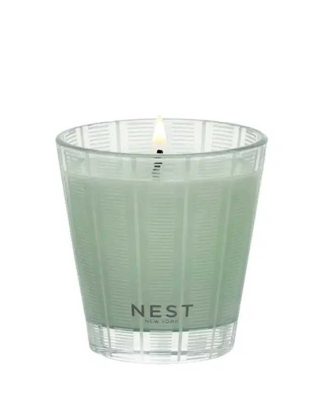 NEST New York Wild Mint Eucalyptus Classic Candle, 8.1 oz.