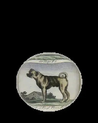 John Derian Pug Profile Dome Paperweight | Thumbnail 2 John Derian Pug Profile Dome Paperweight | Thumbnail 2