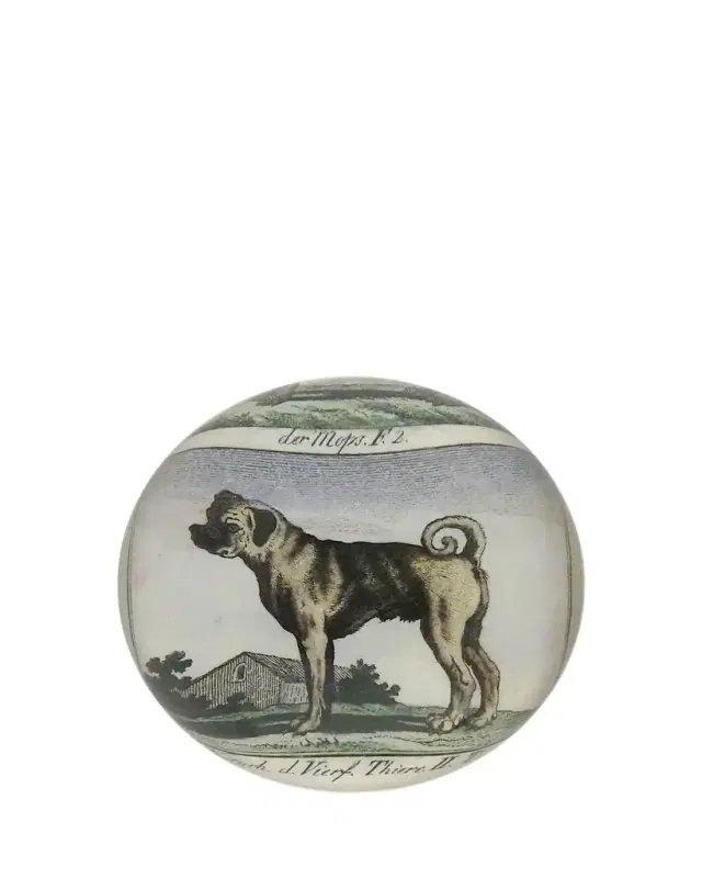 John Derian Pug Profile Dome Paperweight