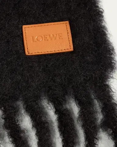Loewe Wool-Blend Fringe Trim Scarf | Thumbnail 4