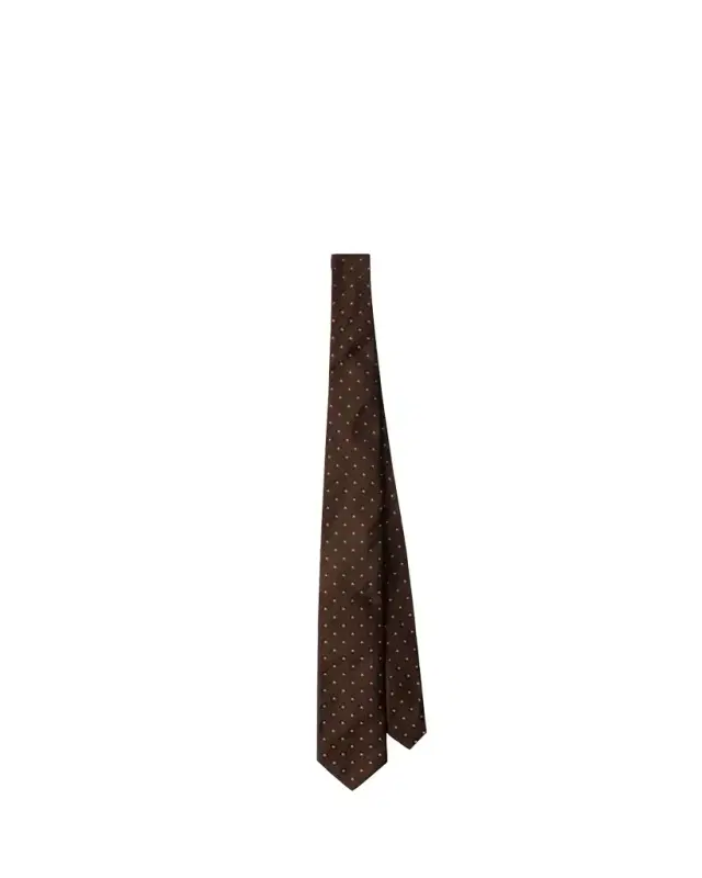 Men's Micro-Fantasia Silk Tie