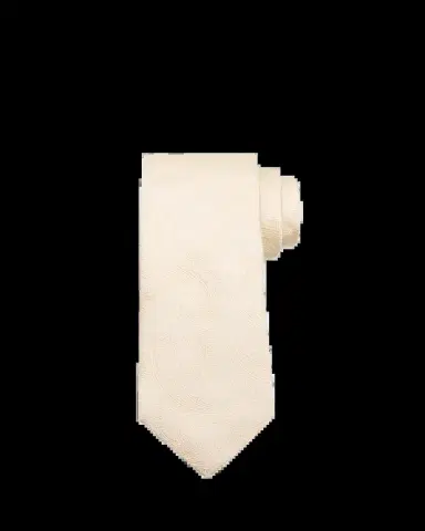 Brunello Cucinelli Men's Paisley Silk and Cotton Tie | Thumbnail 2