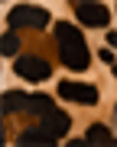 Vibi Venezia Leopard-Printed Canvas Mary Jane Ballerina Flats | Thumbnail 3