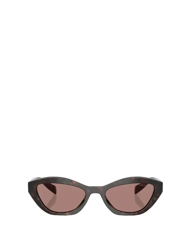 Prada PR A02SF Acetate Cat-Eye Sunglasses