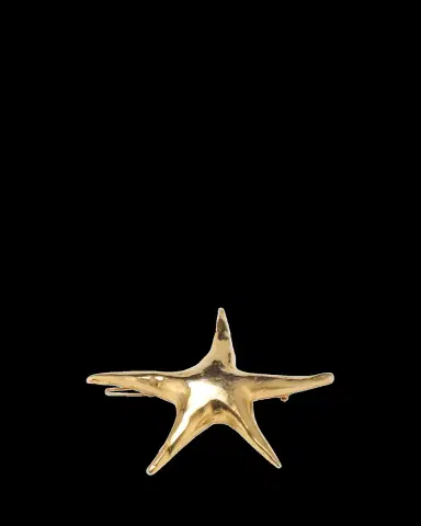 Lelet Ny Nala Star Barrette | Thumbnail 2