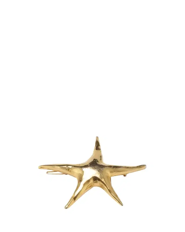 Nala Star Barrette