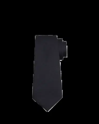 ZEGNA Men's Oasi Cashmere Solid Tie | Thumbnail 2