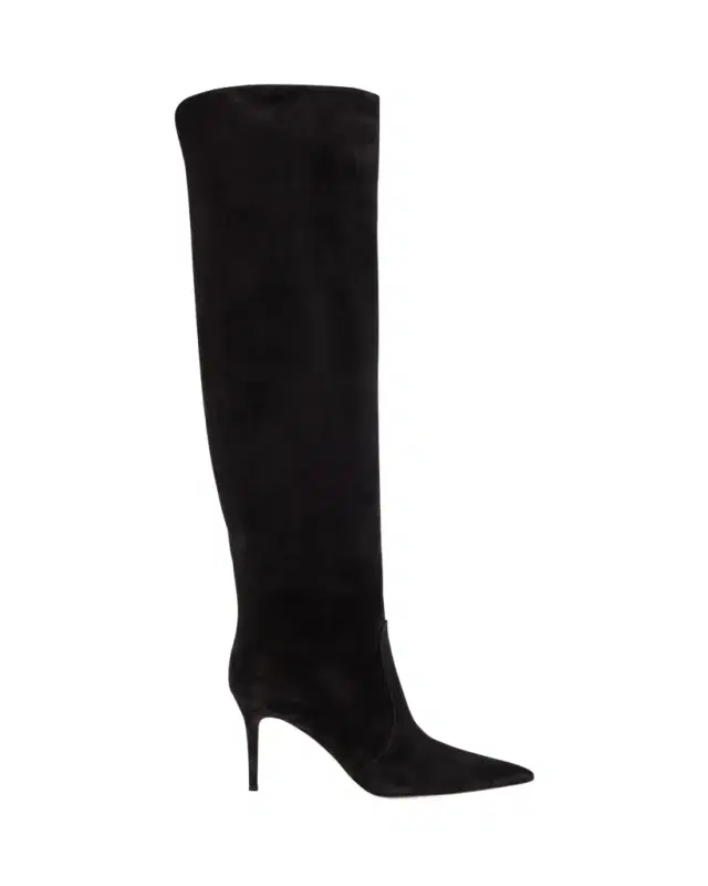 Hansen Suede Pointed-Toe Knee Boots