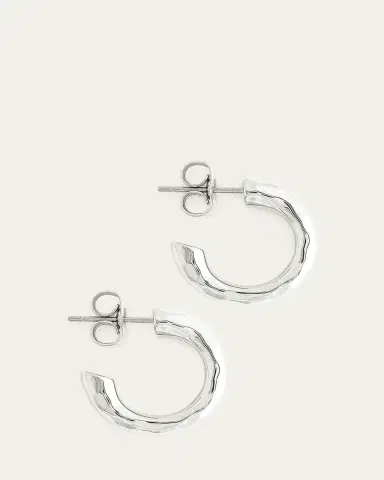 Anabel Aram Jewelry Farrier Huggie Hoop Earrings | Thumbnail 2
